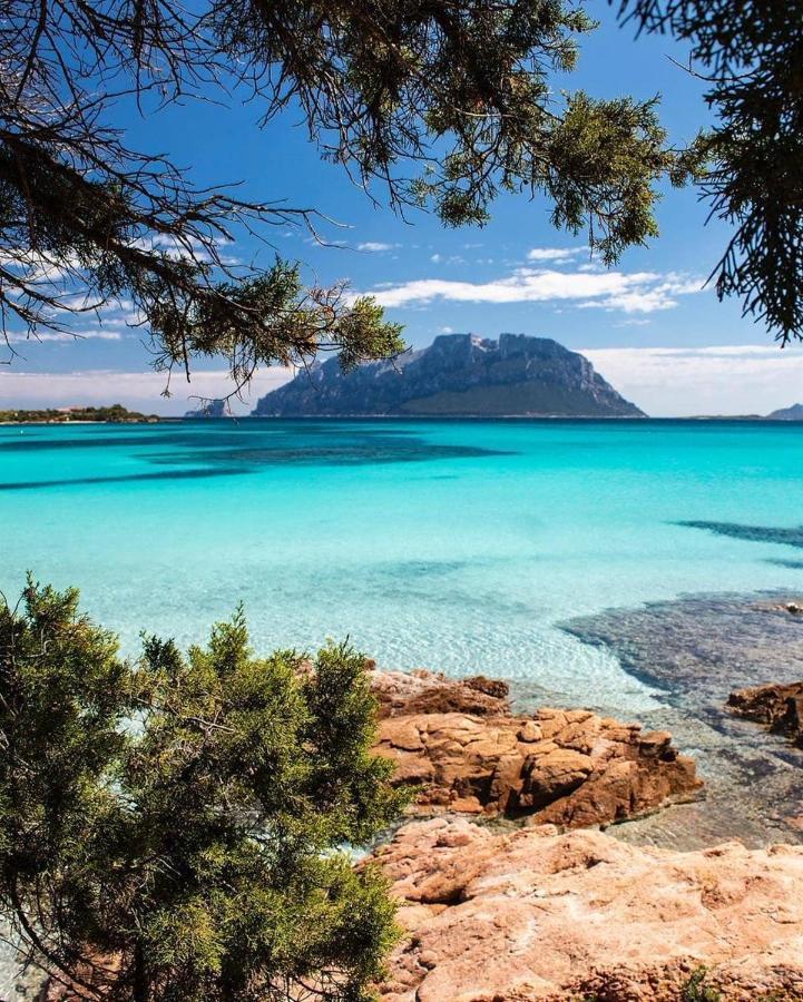 Porto Istana Beach House Olbia Exterior foto